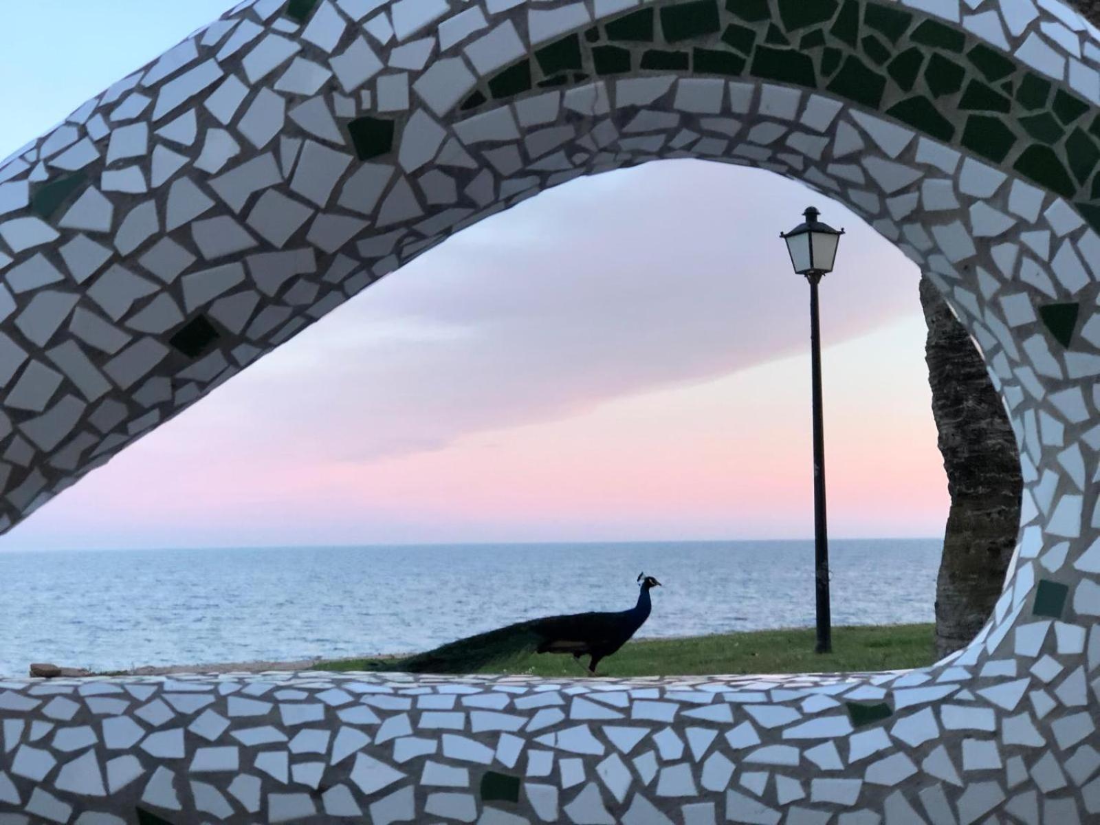 Апартаменты Regata Playa Оропеса-дель-Мар Экстерьер фото